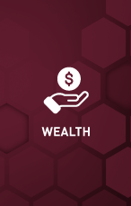 wealth-icon